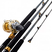 Спиннинги Удилища