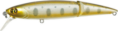 TNT-351id.jpg