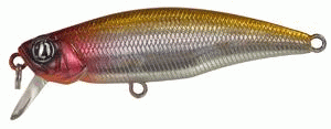 P21-PSH55FSR-A15y6.gif