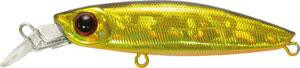 GagaGoon-222-2j5.jpg