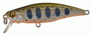 P21-PSH55FSR-A50co.gif
