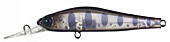 813lz.jpg