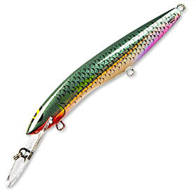 sorcerer 125 R25b6.jpg