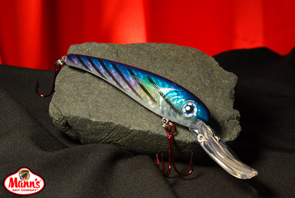 Bonito T30-78ms.jpg