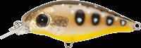gem5061e.gif