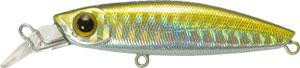 GagaGoon-315r8.jpg