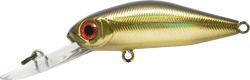 crr228r.JPG