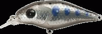 gem509xs.gif
