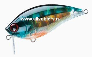 R1146-pbg.JPG