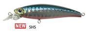 shs.JPG