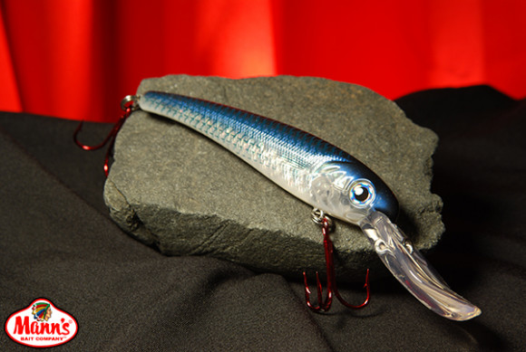 Mullet Т30-142l.jpg