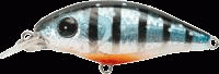 gem5147p.gif