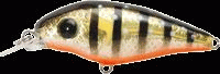 gem5154i.gif