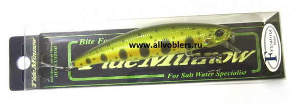 tide_minnow_P34.jpg