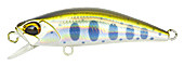 N346c.jpg