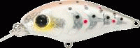 gem550ph.gif