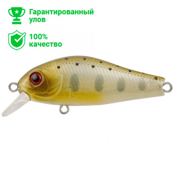 Воблер TsuYoki RIVAL SR 48SS WR010