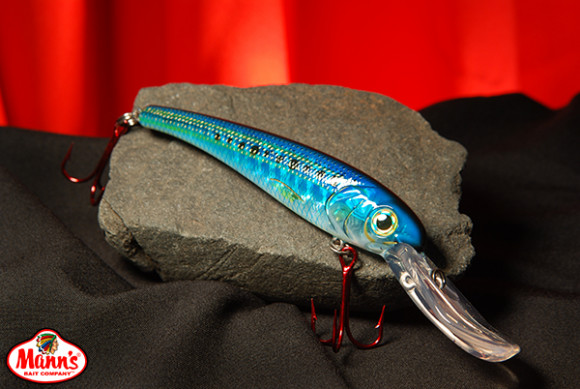 Sardine T30-11ep.jpg