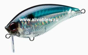 R1146-psh.JPG