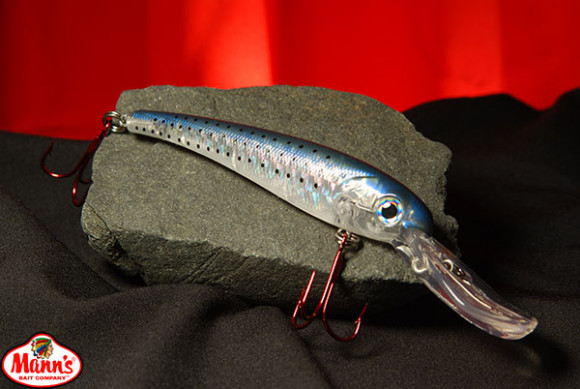 Seatrout T30-05gr.jpg