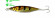 Пилькер Kosadaka Fish Darts F24 (30 г) ZN Пилькер Kosadaka Fish Darts F24 (30 г) ZN