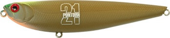 zz221.jpg