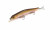 Воблеры ZIPBAITS Orbit 130SP-SR №109M
