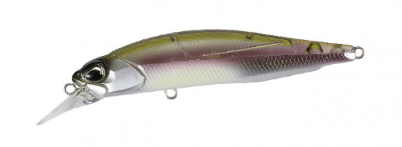 DSH30614y.jpg