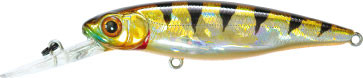 GGT-407bd.jpg