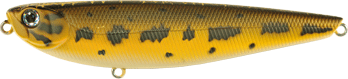 zzr31.gif