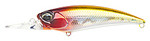 D339i.jpg