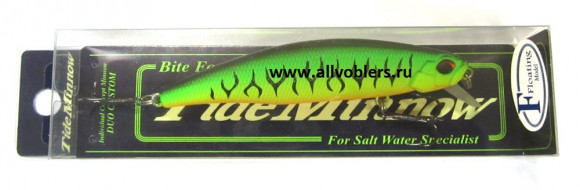 tide_minnow_P59.jpg