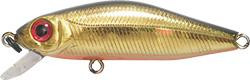 R111-10j.jpg