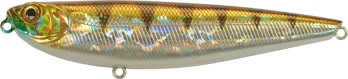 zz107a2.jpg