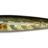 Пилькер Kosadaka Fish Darts F11 (20 г) DC