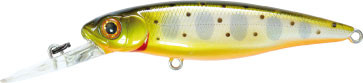 GGT-451wh.jpg