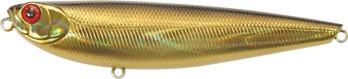zzr2276.jpg