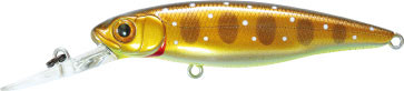 GGT-429b3.jpg