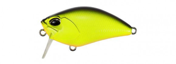 Воблеры DUO Realis Crank 50SSR KABUKI 50мм, 8,4гр, до 0.3м ACC3303