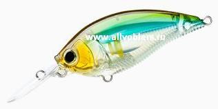 R1106-pay.JPG