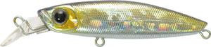 GagaGoon-R30f9.jpg