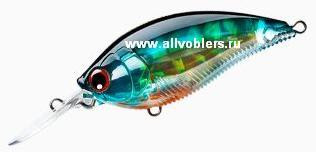R1106-pbg.JPG