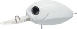 R01.jpg