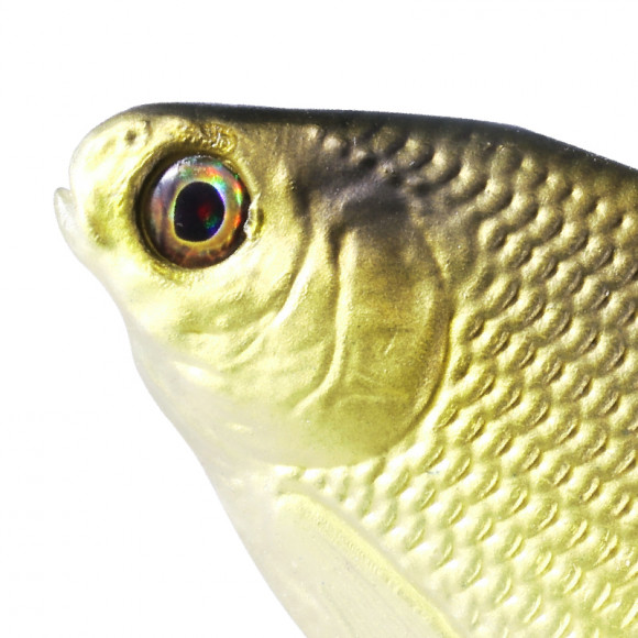 Мягкая приманка 13FISHING B.A.M.F. Shad 8"/ Gold Retriver