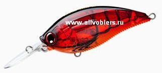 R1106-pcf.JPG