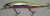 Воблеры DUO Realis Jerkbait, 120 мм., SP18.0 гр.#D62