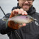 Мягкая приманка 13FISHING B.A.M.F. Shad 8"/ Purple Shad Мягкая приманка 13FISHING B.A.M.F. Shad 8"/ Purple Shad