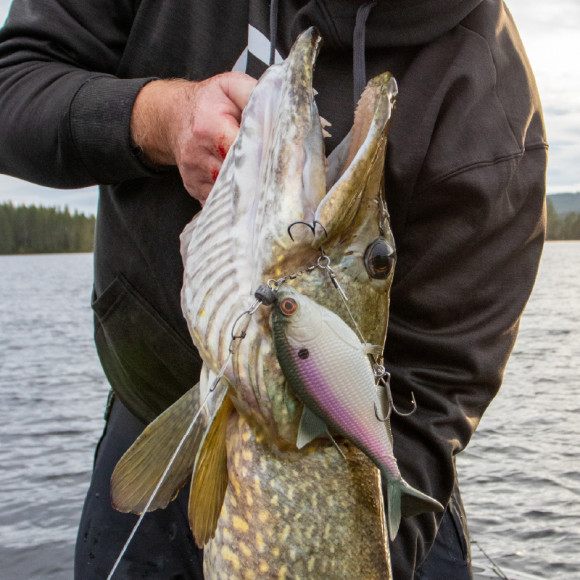 Мягкая приманка 13FISHING B.A.M.F. Shad 8"/ Purple Shad Мягкая приманка 13FISHING B.A.M.F. Shad 8"/ Purple Shad