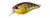 Воблеры DUO Realis Crank Mid Roller 40F 40мм,  5.3гр 1,2-1,8м AOA3503