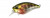 Воблеры DUO Realis Crank Mid Roller 40F 40мм,  5.3гр 1,2-1,8м ADA3058